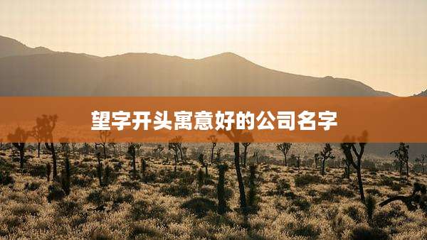 望字开头寓意好的公司名字