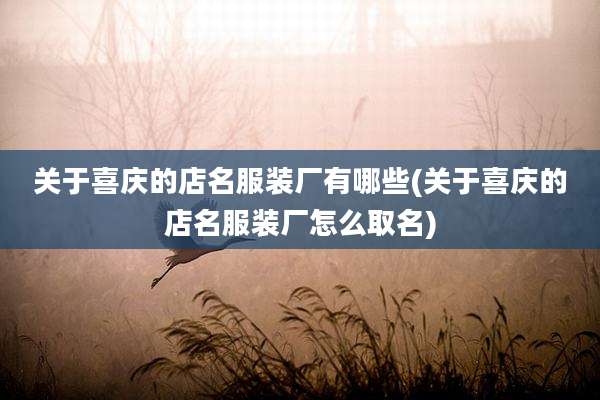 关于喜庆的店名服装厂有哪些(关于喜庆的店名服装厂怎么取名)