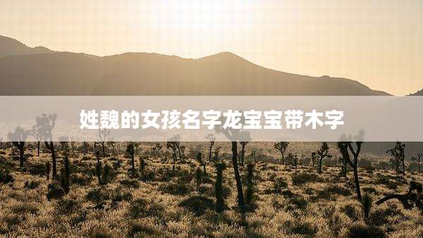 姓魏的女孩名字龙宝宝带木字