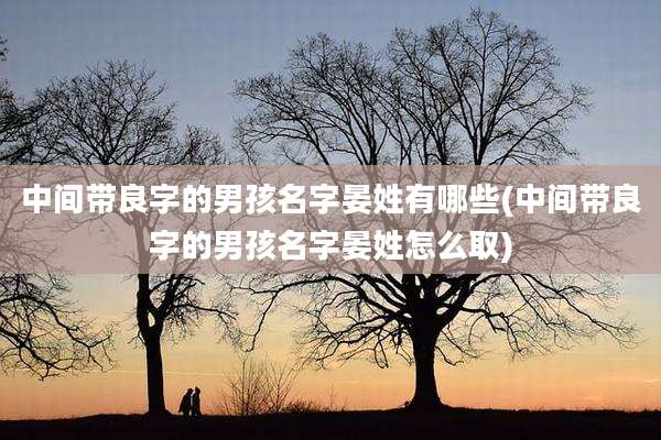 中间带良字的男孩名字晏姓有哪些(中间带良字的男孩名字晏姓怎么取)