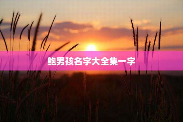 鲍男孩名字大全集一字
