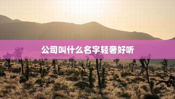 公司叫什么名字轻奢好听