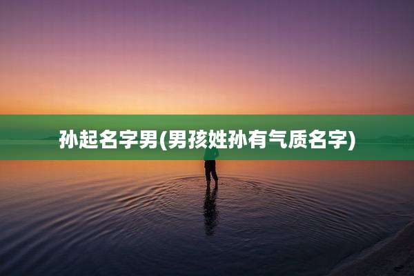 孙起名字男(男孩姓孙有气质名字)