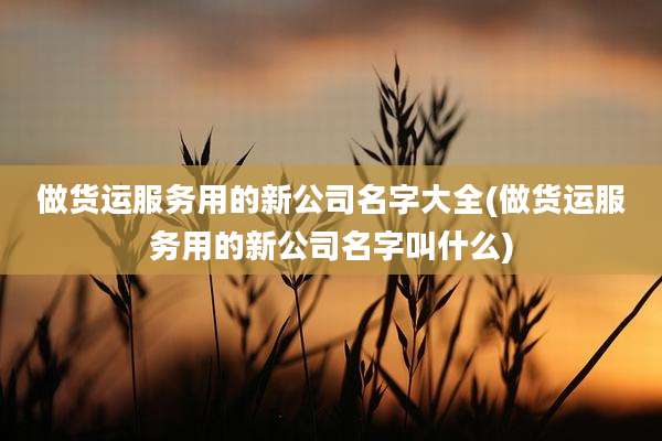 做货运服务用的新公司名字大全(做货运服务用的新公司名字叫什么)