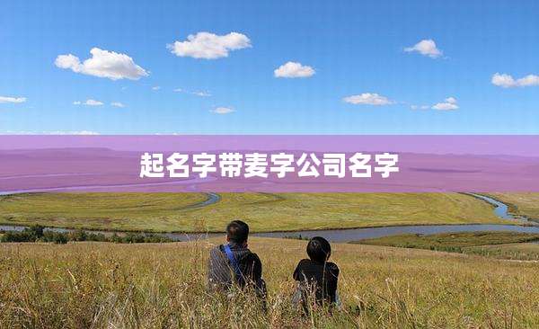 起名字带麦字公司名字