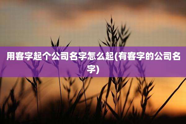 用客字起个公司名字怎么起(有客字的公司名字)