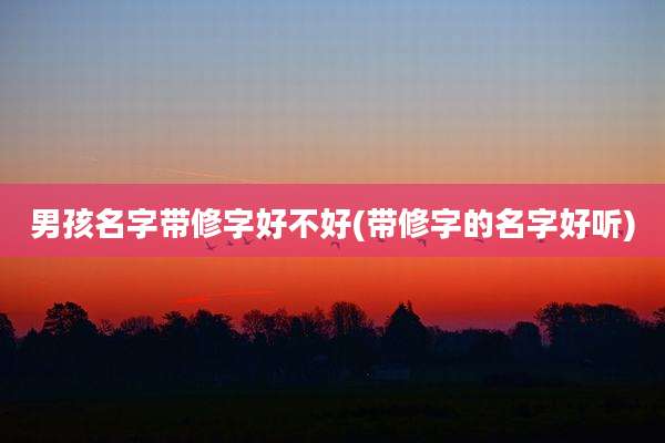男孩名字带修字好不好(带修字的名字好听)