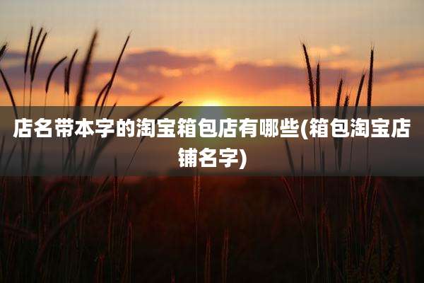 店名带本字的淘宝箱包店有哪些(箱包淘宝店铺名字)