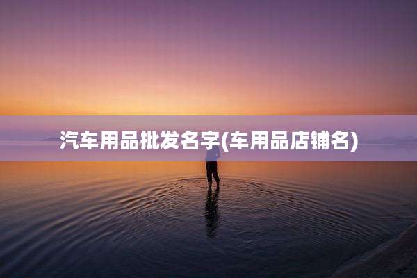 汽车用品批发名字(车用品店铺名)