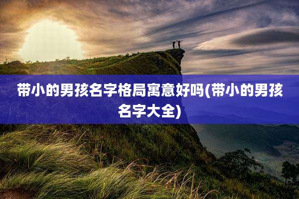 带小的男孩名字格局寓意好吗(带小的男孩名字大全)