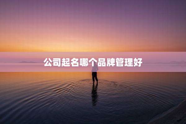 公司起名哪个品牌管理好