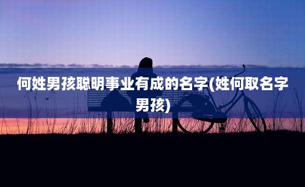 何姓男孩聪明事业有成的名字(姓何取名字男孩)