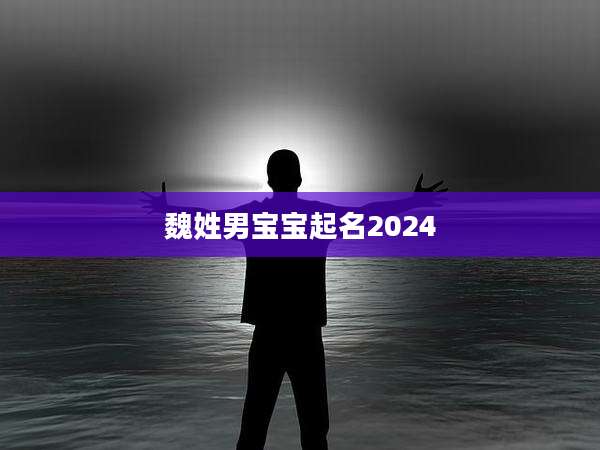 魏姓男宝宝起名2024