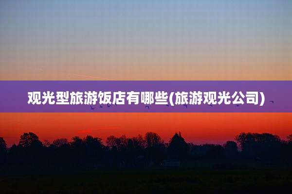 观光型旅游饭店有哪些(旅游观光公司)