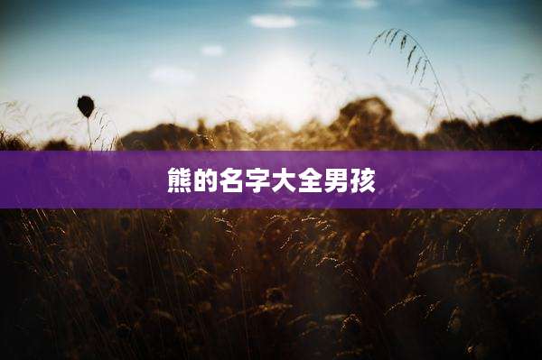 熊的名字大全男孩