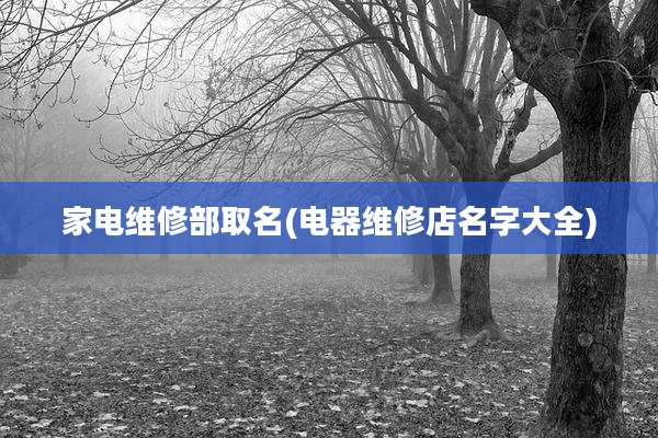 家电维修部取名(电器维修店名字大全)