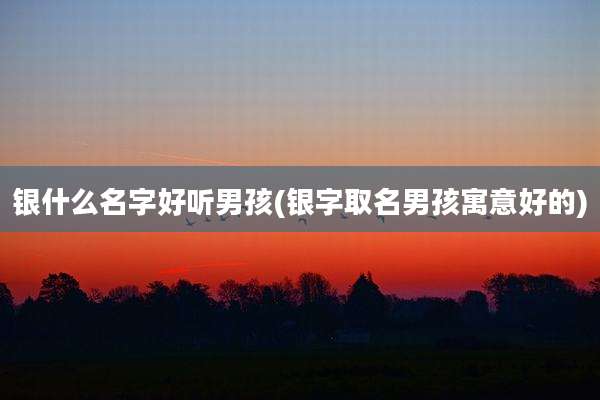 银什么名字好听男孩(银字取名男孩寓意好的)