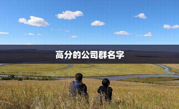 高分的公司群名字