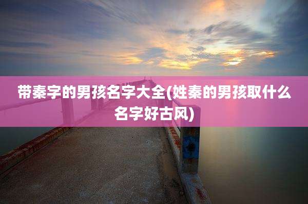 带秦字的男孩名字大全(姓秦的男孩取什么名字好古风)