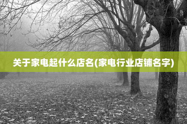 关于家电起什么店名(家电行业店铺名字)
