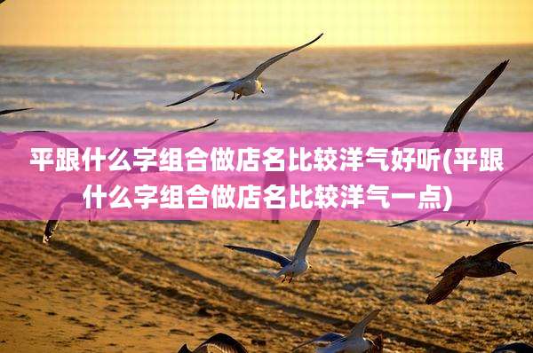 平跟什么字组合做店名比较洋气好听(平跟什么字组合做店名比较洋气一点)