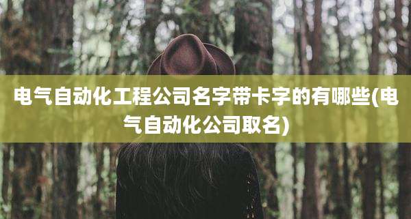 电气自动化工程公司名字带卡字的有哪些(电气自动化公司取名)