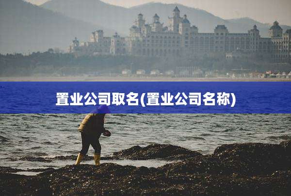置业公司取名(置业公司名称)