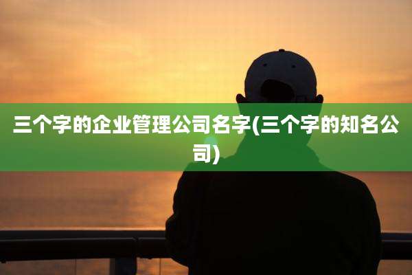 三个字的企业管理公司名字(三个字的知名公司)