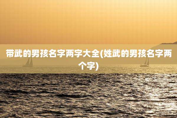 带武的男孩名字两字大全(姓武的男孩名字两个字)