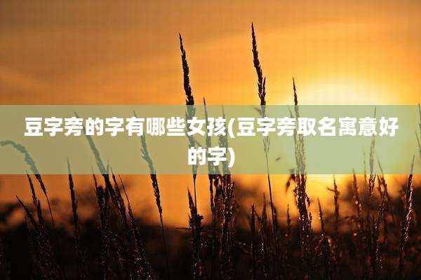 豆字旁的字有哪些女孩(豆字旁取名寓意好的字)
