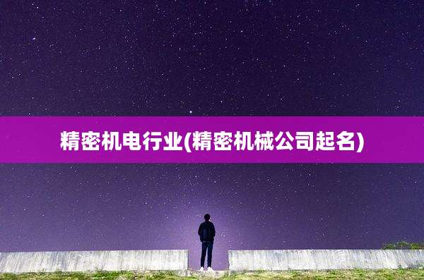 精密机电行业(精密机械公司起名)