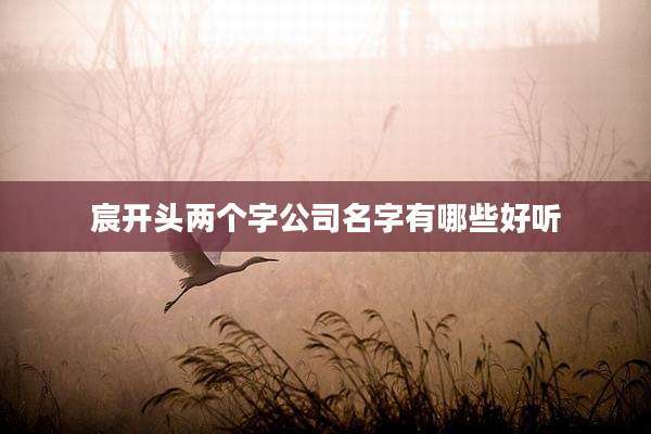 宸开头两个字公司名字有哪些好听