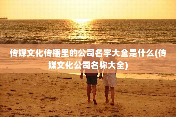 传媒文化传播里的公司名字大全是什么(传媒文化公司名称大全)