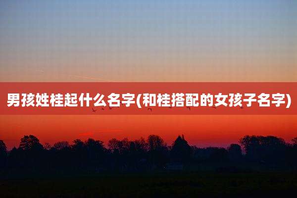 男孩姓桂起什么名字(和桂搭配的女孩子名字)