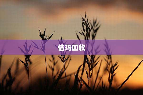 估玛回收