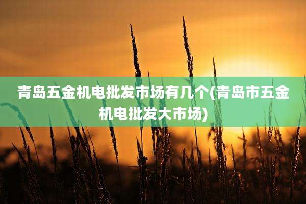 青岛五金机电批发市场有几个(青岛市五金机电批发大市场)