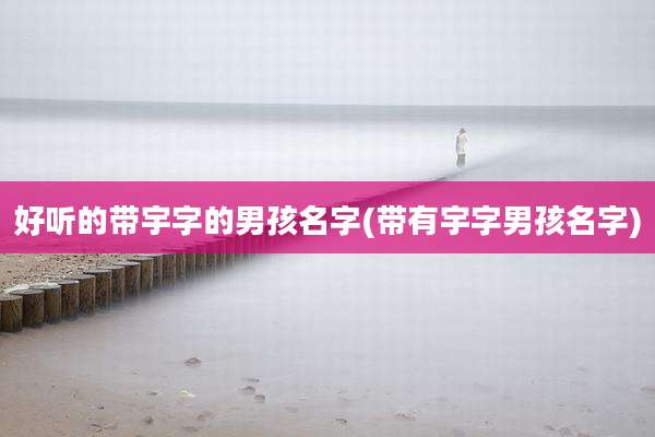 好听的带宇字的男孩名字(带有宇字男孩名字)