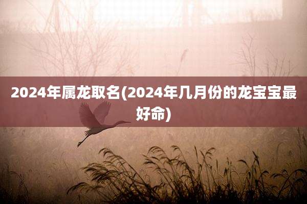 2024年属龙取名(2024年几月份的龙宝宝最好命)