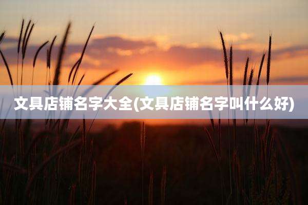 文具店铺名字大全(文具店铺名字叫什么好)