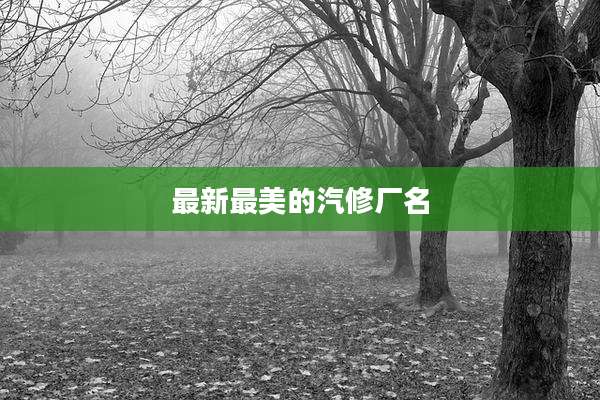 最新最美的汽修厂名