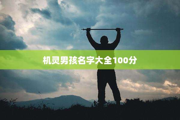 机灵男孩名字大全100分