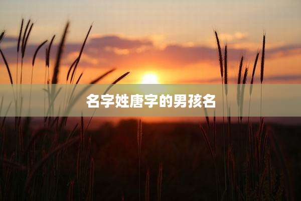 名字姓唐字的男孩名