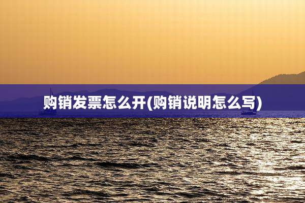 购销发票怎么开(购销说明怎么写)
