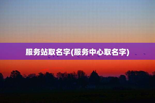 服务站取名字(服务中心取名字)