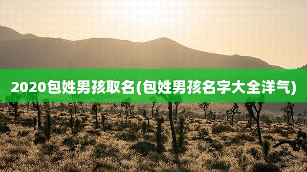 2020包姓男孩取名(包姓男孩名字大全洋气)