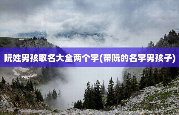 阮姓男孩取名大全两个字(带阮的名字男孩子)