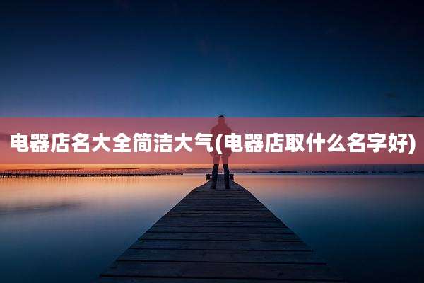 电器店名大全简洁大气(电器店取什么名字好)