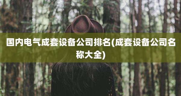 国内电气成套设备公司排名(成套设备公司名称大全)