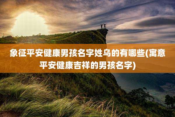 象征平安健康男孩名字姓乌的有哪些(寓意平安健康吉祥的男孩名字)