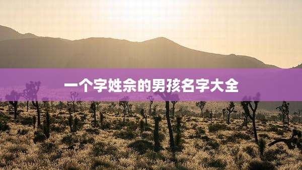 一个字姓佘的男孩名字大全